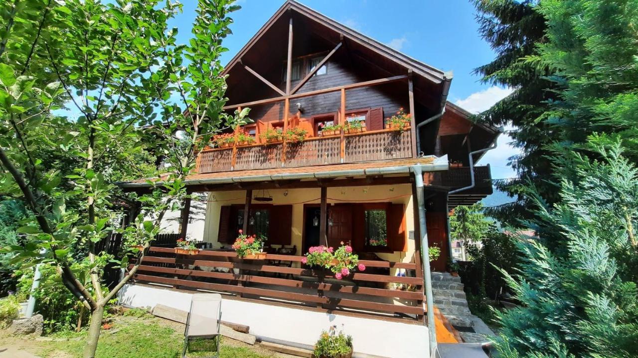 Family House Villa บุชเตนี ภายนอก รูปภาพ